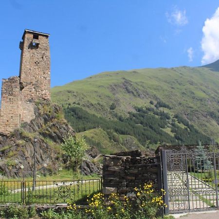 Warm House Guest House Kazbegi Bagian luar foto