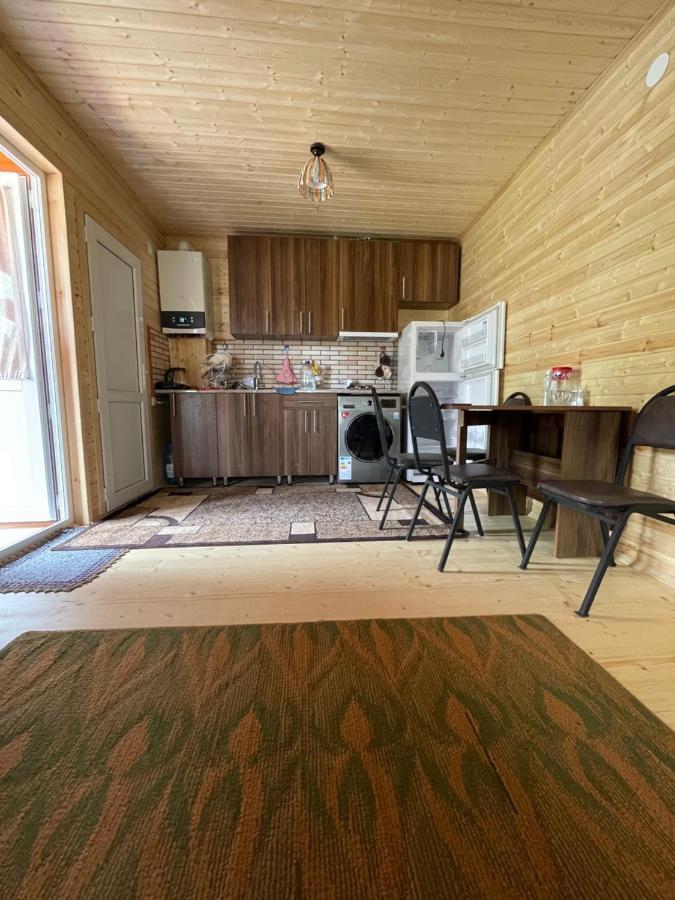 Warm House Guest House Kazbegi Bagian luar foto